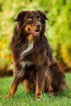  - 18  2015  14:10 - 2