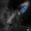 ���� �������, ������, 53 ���� - ��������� 21 �������� 2015 � ������ ���� ����������