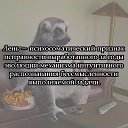���� ����, ���������� - ��������� 23 ������ 2015 � ������ ������ ��������