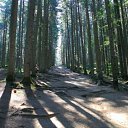 ���� �������, �������� - ��������� 30 ��� 2015 � ������ �г��� ������-�������