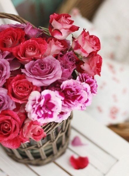     .        .  ,   ... - 4