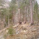 ���� Xylio, ���������, 54 ���� - ��������� 8 �������� 2015 � ������ ���� ����������