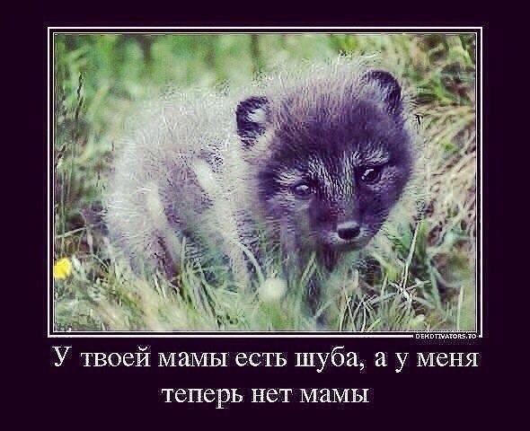 Art & Fun - 12  2015  12:18