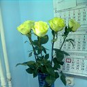 ���� �������, ������ ��������, 63 ���� - ��������� 1 ������� 2015 � ������ ���� ����������