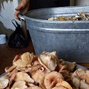 ���� ������, �����������, 38 ��� - ��������� 17 �������� 2015 � ������ ���� ����������