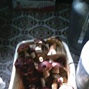 ���� �������, ������ - ��������� 22 ������� 2015 � ������ ���� ����������