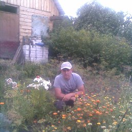 ���� ������, �����, 42 ���� - ��������� 26 ������ 2015