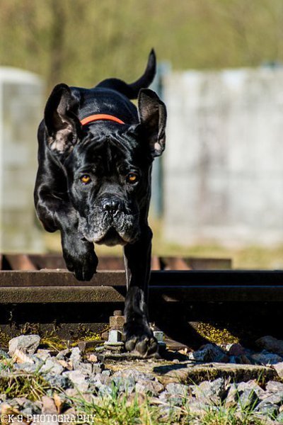 ������ ������ - 21 �������� 2015 � 10:00