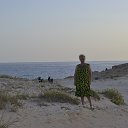 ���� ����, ����, 66 ��� - ��������� 22 ������� 2015 � ������ ���� ����������