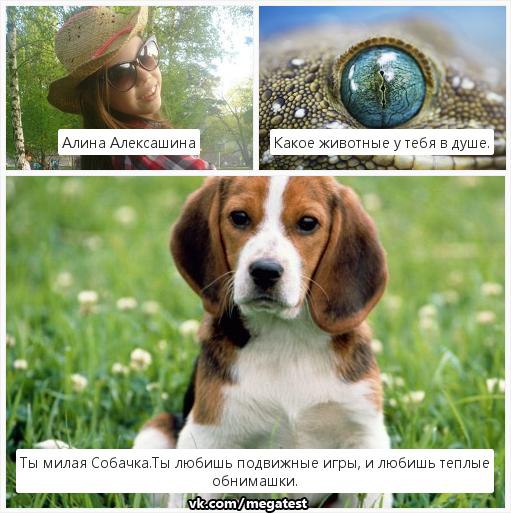      .     https://fotostrana.ru/away?to=/sl/6L2#55354ef6e4b033f03a55f00b