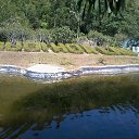    -  ,  -  31  2015   .  2015.  .  6-.