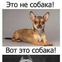 ���� �����, ���������, 35 ��� - ��������� 16 ��� 2015 � ������ ������ ��������