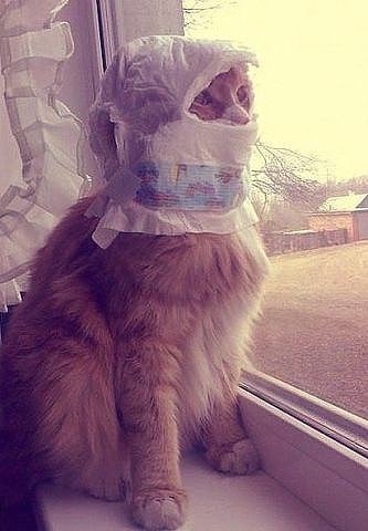 Господи.... Когда же они уедут? И почему бабушки так радуются внукам?! ????
