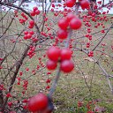 ���� �����, ������ - ��������� 30 ��� 2015 � ������ ������ ��������