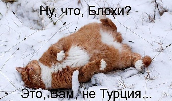 ��� ���� � ����� �� �� - 23 ������� 2015 � 10:31