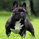  , --, 52  -  23  2015    .