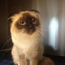 ���� ����, ������ - ��������� 15 ������� 2015 � ������ ���� ����������