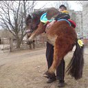 ���� ����, ���������, 42 ���� - ��������� 25 ���� 2015 � ������ ���� ����������