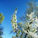 ���� ������� - �� ��������!, �������� - ��������� 28 ���� 2015 � ������ ���� ������