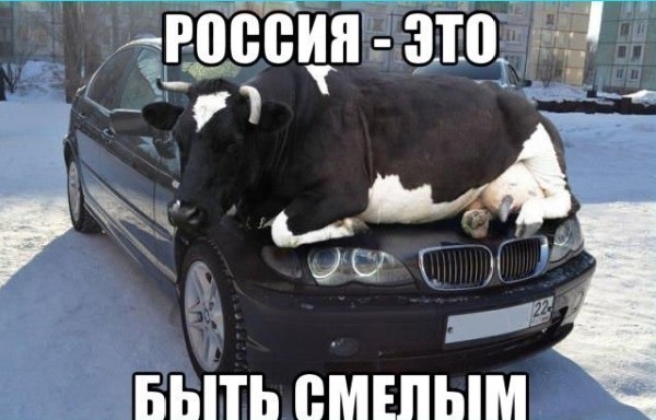 ������������ ���� - 4 ���� 2015 � 09:52
