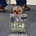 ���� ������, ������, 55 ��� - ��������� 27 ��� 2015 � ������ ���� ����������