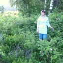 ���� �������, ������������ - ��������� 29 ������� 2015 � ������ ���� ����������