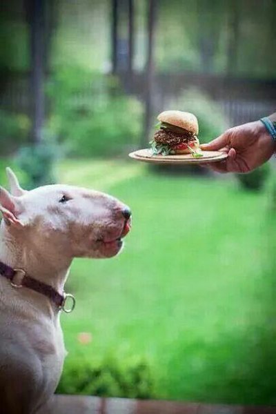   ? -,  -.   -? , , , ,   ...