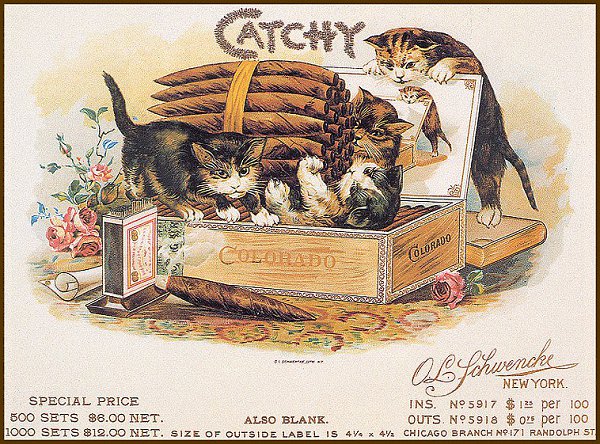 Cat in Old Ilustratives / Кошки на старых иллюстрациях - 2
