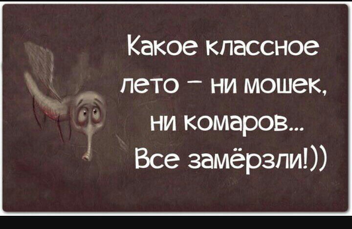  - 5  2015  17:33