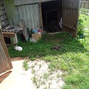 ���� ����� �����, ������, 62 ���� - ��������� 3 ���� 2015 � ������ ���� ����������