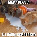 ���� ����, �������, 63 ���� - ��������� 4 ��� 2015 � ������ ������ ��������
