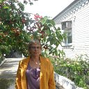 ���� �����, ������ - ��������� 2 ���� 2015 � ������ ���� ����������