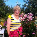 ���� �����, �����-���������, 77 ��� - ��������� 23 ������� 2015 � ������ ���� ����