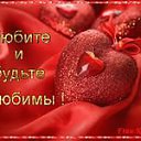 ���� �������, �������, 43 ���� - ��������� 25 ������� 2015 � ������ ������ ��������