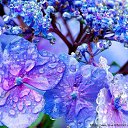 ���� �����, �����-��������� - ��������� 18 ���� 2015 � ������ ���� ����������