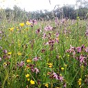  ******, , 53  -  8  2015   