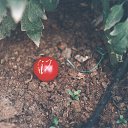 ���� ���, ����, 57 ��� - ��������� 19 ���� 2015 � ������ ���� ����������