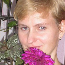 �������, ������������, 51 ���