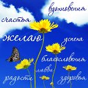 ���� ������, ������ - ��������� 5 ���� 2015 � ������ �������� ��������