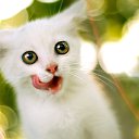 ��� ������ ����� ������ �� ���������� (((... �� ������� ���� ����������