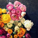 ���� ����, ��������� - ��������� 6 ���� 2015 � ������ ������ ��������