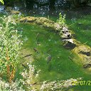 ����� ������� � ����� ������ �� ������� ������ 2013�