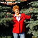 ���� ��������, ����� - ��������� 1 ���� 2015 � ������ ���� ����������