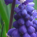 ���� ��������, ������, 61 ��� - ��������� 29 ������ 2015