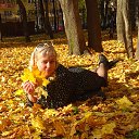 ���� �����, ����� - ��������� 14 �������� 2015 � ������ ���� ����������