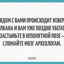 ���� ����, �����, 49 ��� - ��������� 21 ���� 2015 � ������ ������ ��������