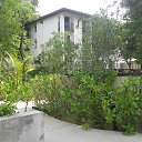    -  ,  -  4  2015    2014.  Ibis.  7-.