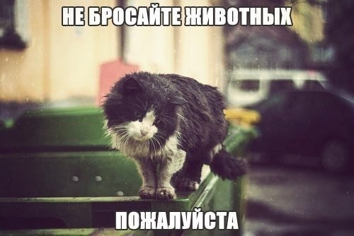 ��� ���� � ����� �� �� - 23 ���� 2015 � 22:32