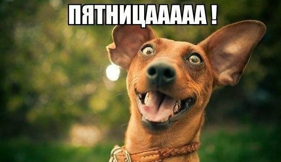    :D - 11  2015  19:22
