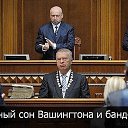 ���� �����, ���� - ��������� 7 ������� 2015 � ������ ���� ����������